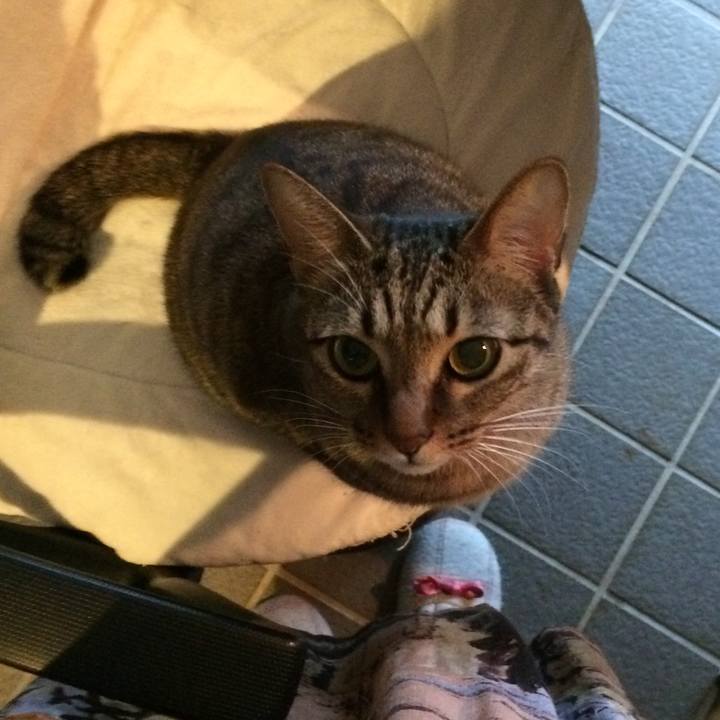 169a97e6 5759 4a07 94c3 8a5adb90a1dd