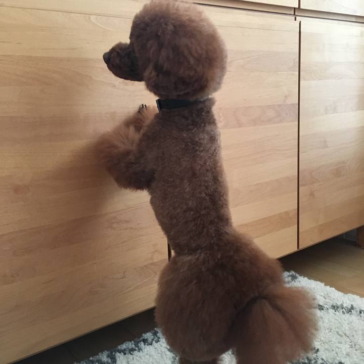 169aa790 7fc3 4836 a2f9 c3fcfe74e2dd