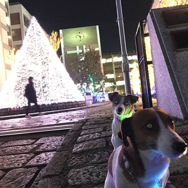 169bfda6 37ca 4bac a14d 24b587a736b3