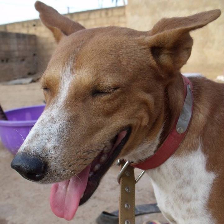 169c144c 1f01 42a1 a882 66cf6ae7c713