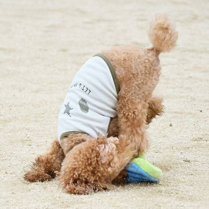 169c78c9 07fc 44de 89e7 4f875459ad49