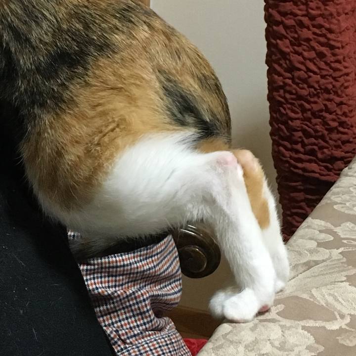 169c81c0 4753 4b1e 92d2 deb63ea9cf23