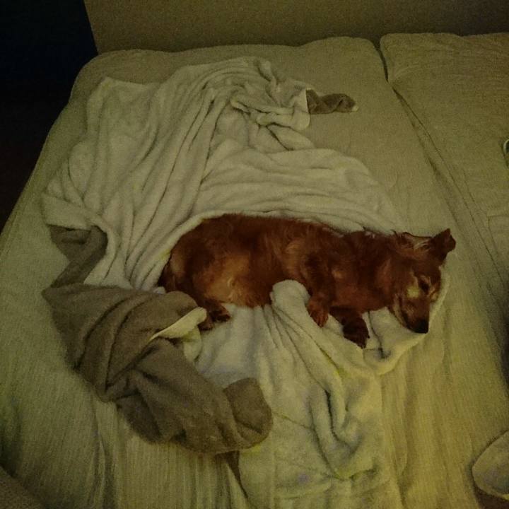 169d66a5 1afa 4f4c 8e48 c54cbcc1b34b