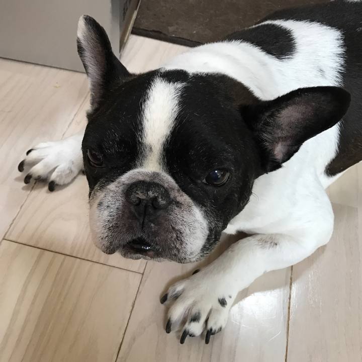 169e56ac caed 4d3b a9bf 15b0124fb1a8