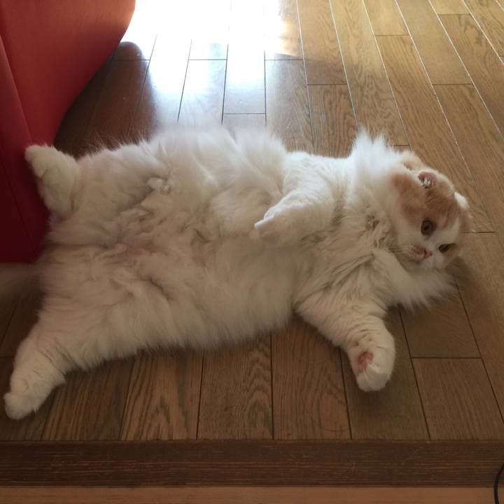 169e9584 a330 473a 9493 ea65b53c8cdd