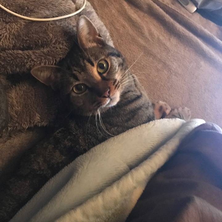 169ea942 1c59 4eb4 aea0 53bd8179b9ea