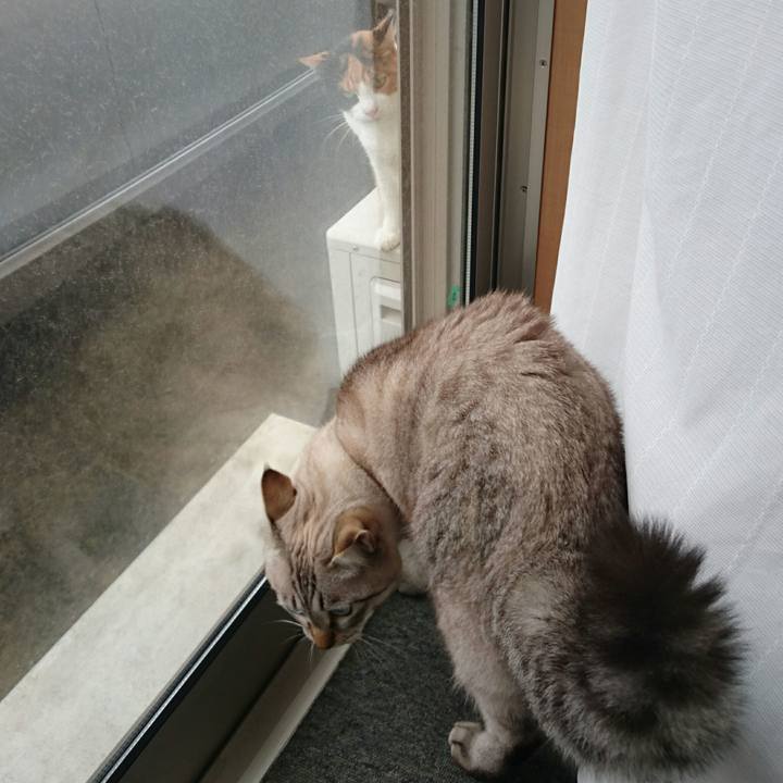 169eaeb5 db00 4fa8 baa2 0f20b65236e4