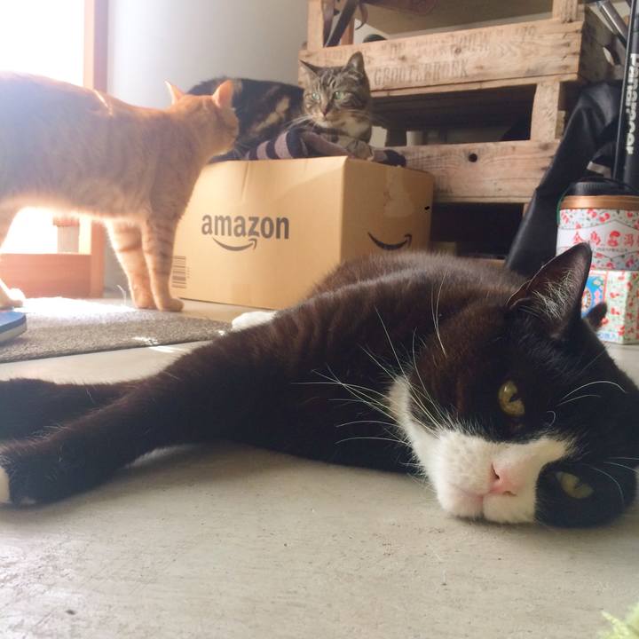 169ec230 a255 494e a5ce f7748893e73d