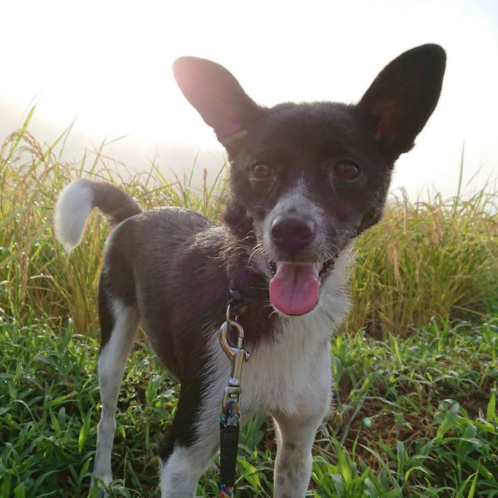 169f2360 5332 4551 841b f17db014406f