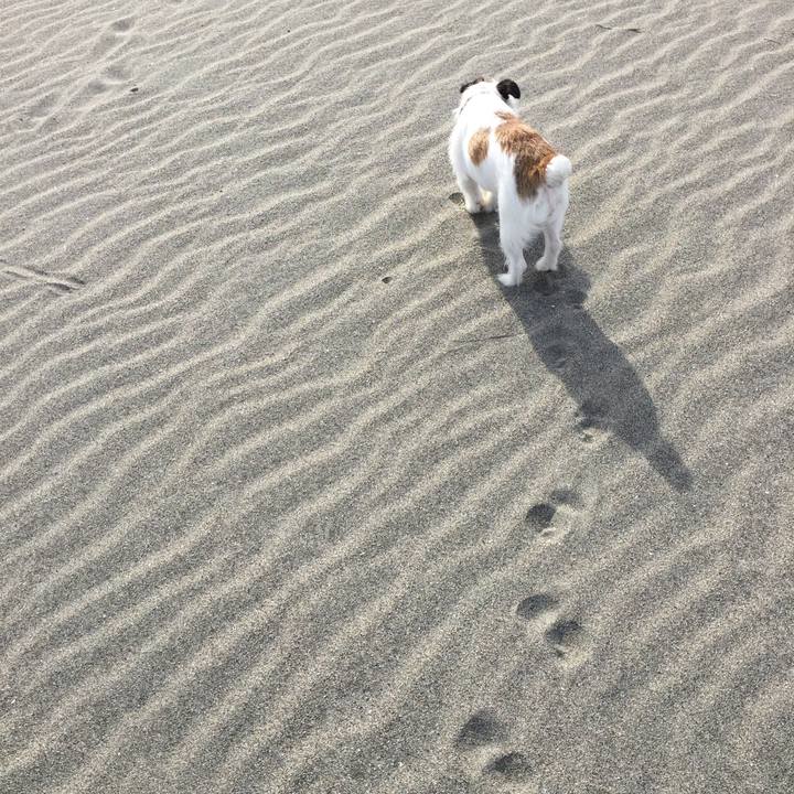 169f9782 ea53 4fec b004 d775c075c873