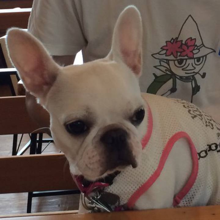 169fa2ee f118 47b8 854f b0dd0bdf4086