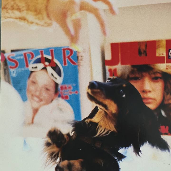 16a0527d 8339 45f6 9fd5 5a08d45ce05d