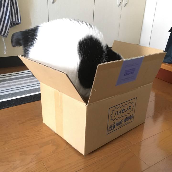 16a0b7a7 fc3b 4ab8 b88e a6628e081d15