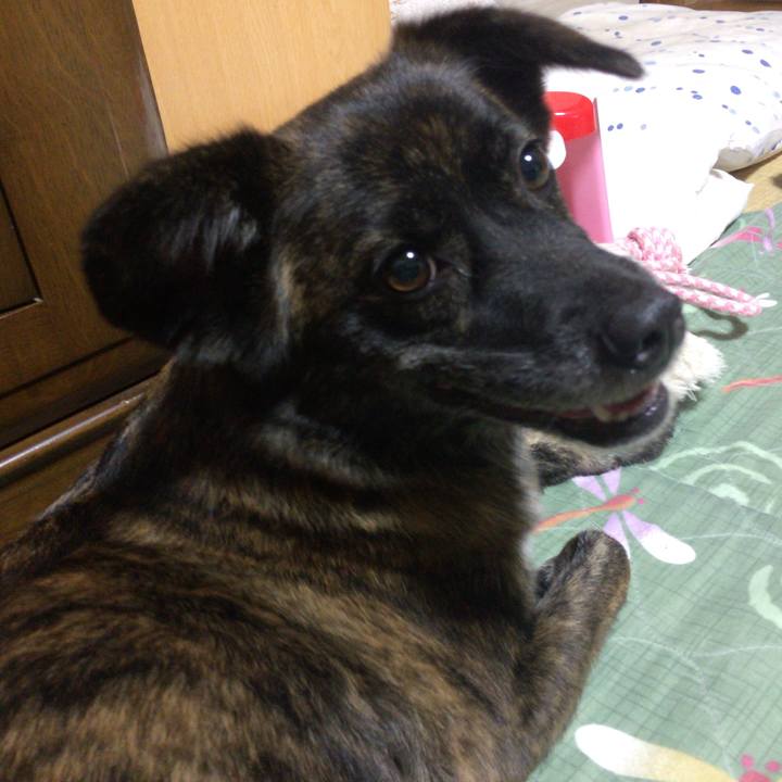 16a0b7cc bccc 4bbd b9e3 606a62c9cc7a