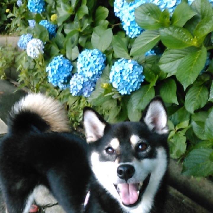 16a123fe a76e 477a a217 5cab2fefa7b8