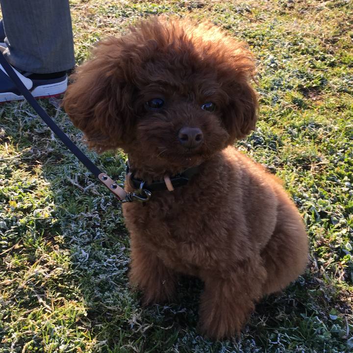 16a2a794 320c 48de 8ad2 87452905109d