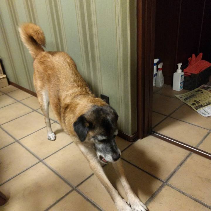 16a30712 858a 4d5a 83f0 785c209a88c7