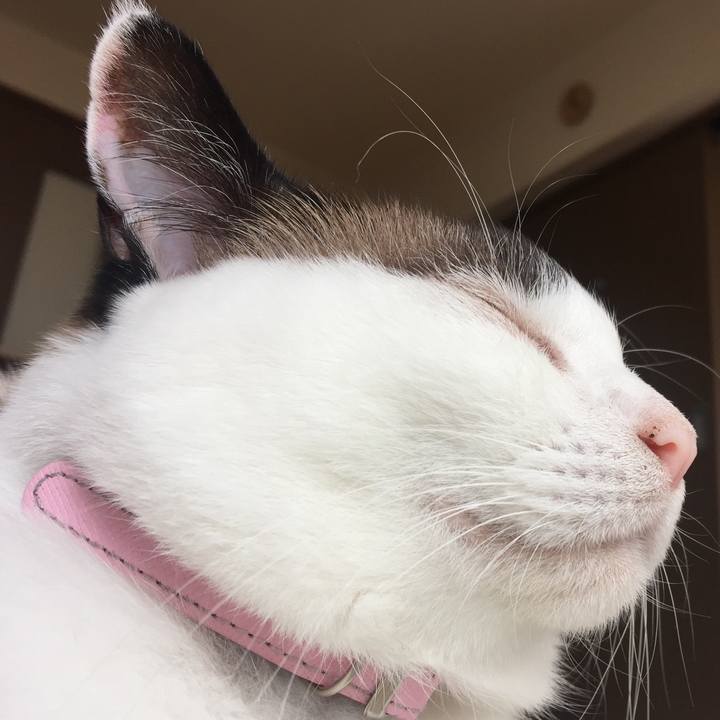 16a32ba6 6b2d 40c5 b658 1a17c8a179eb