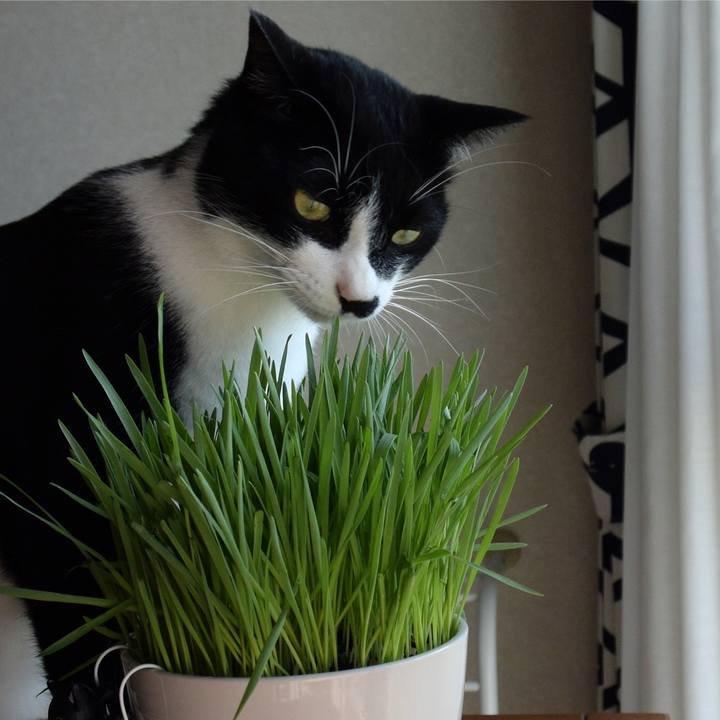 16a340bd 3edf 4712 bcb4 9b6e375e936e