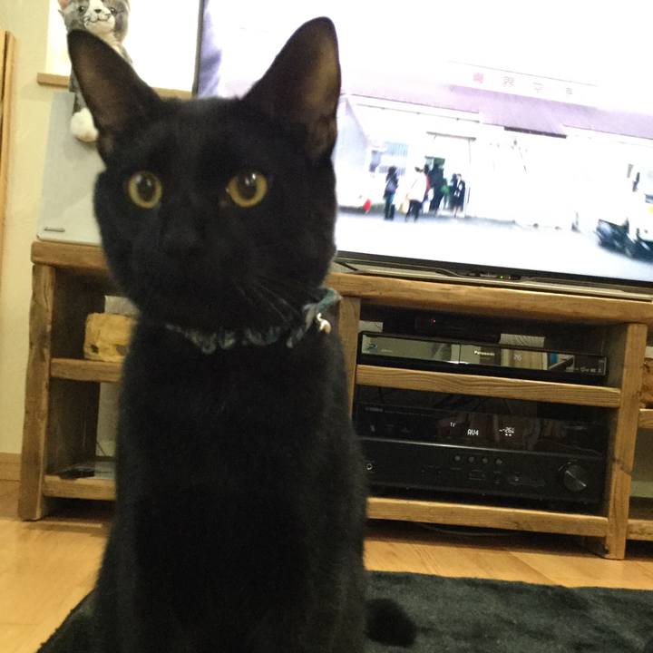 16a35731 fd3a 4cd2 87b5 0740b841170d