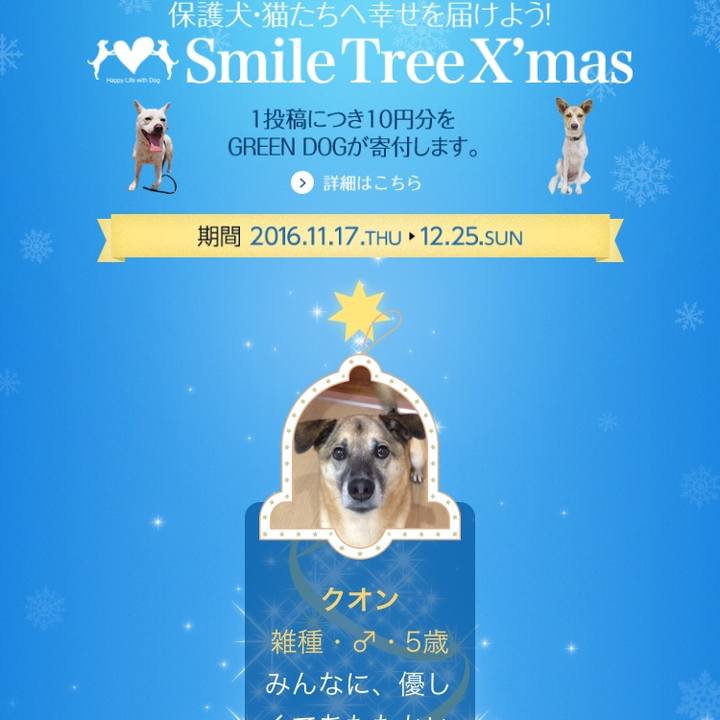 16a377a1 45e6 4c76 9b41 e8499d377b64