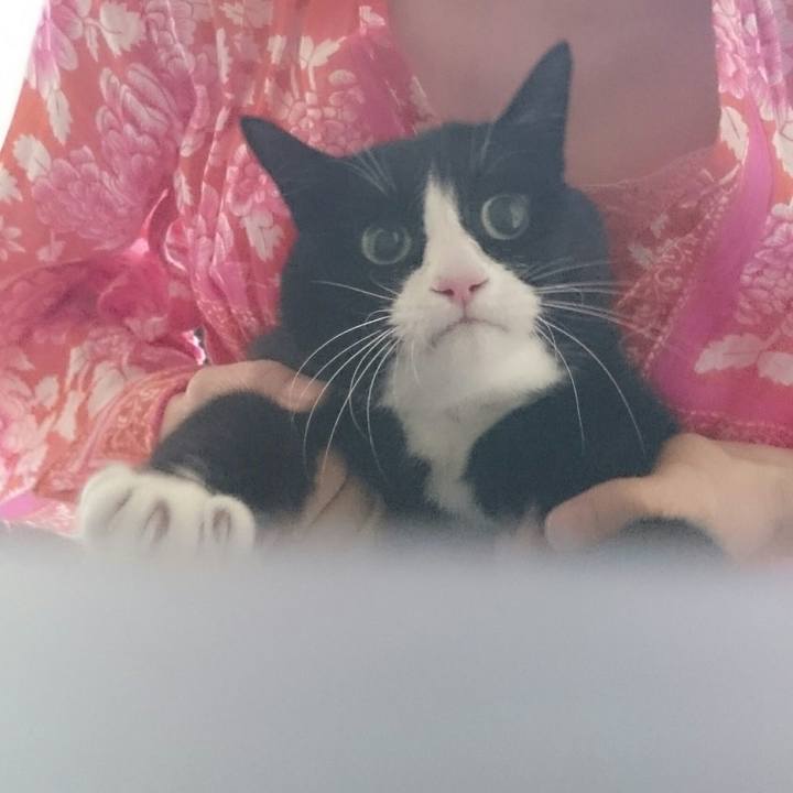 16a3fbe4 7e61 4ca3 97d3 5ba99d4e89e0