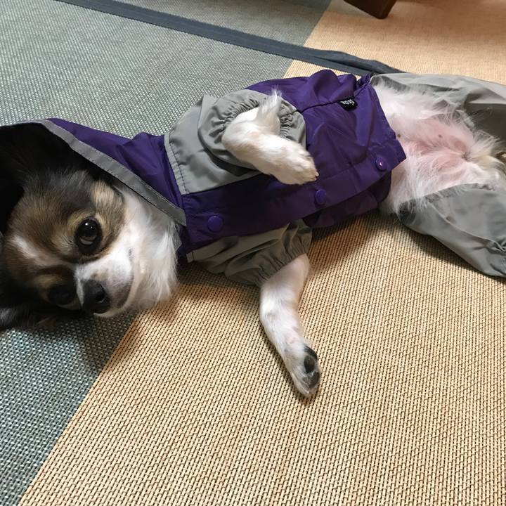 16a51daa c821 41d8 bf2f 88be3a699f28