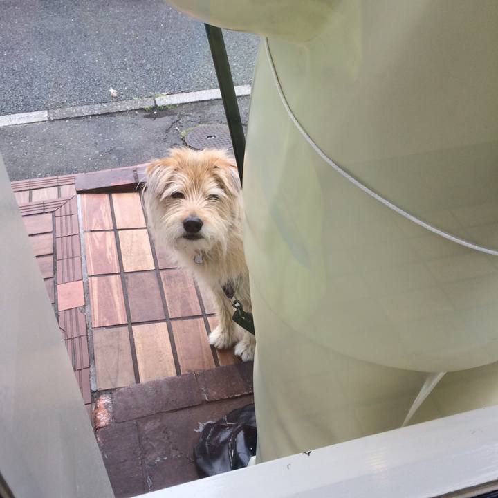 16a591cc 4ab6 48ce b8ed 032169989253