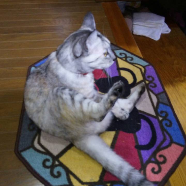 16a5f341 7fa4 4fb1 9aa6 f9c4ffd40354