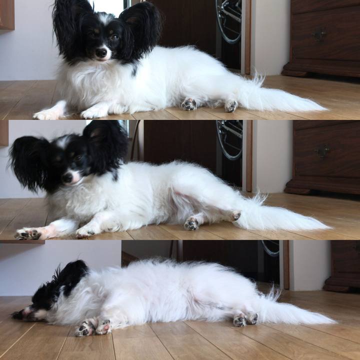 16a61b7d 4895 4736 bc51 d648d4de3a67