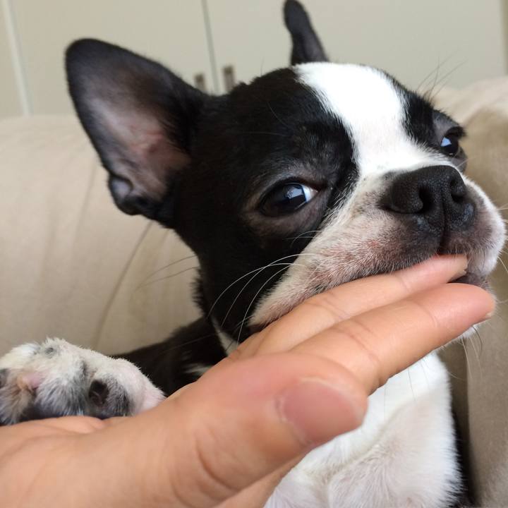 16a6464d 295c 4ad0 a965 f0123f97eeb6