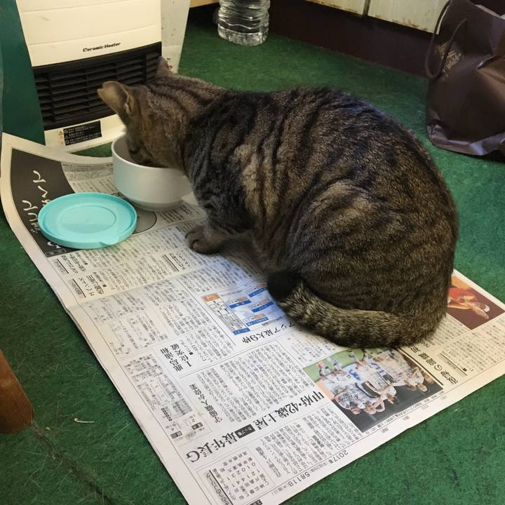 16a661c6 ea87 4fdc 98da 0b1d74e7248a