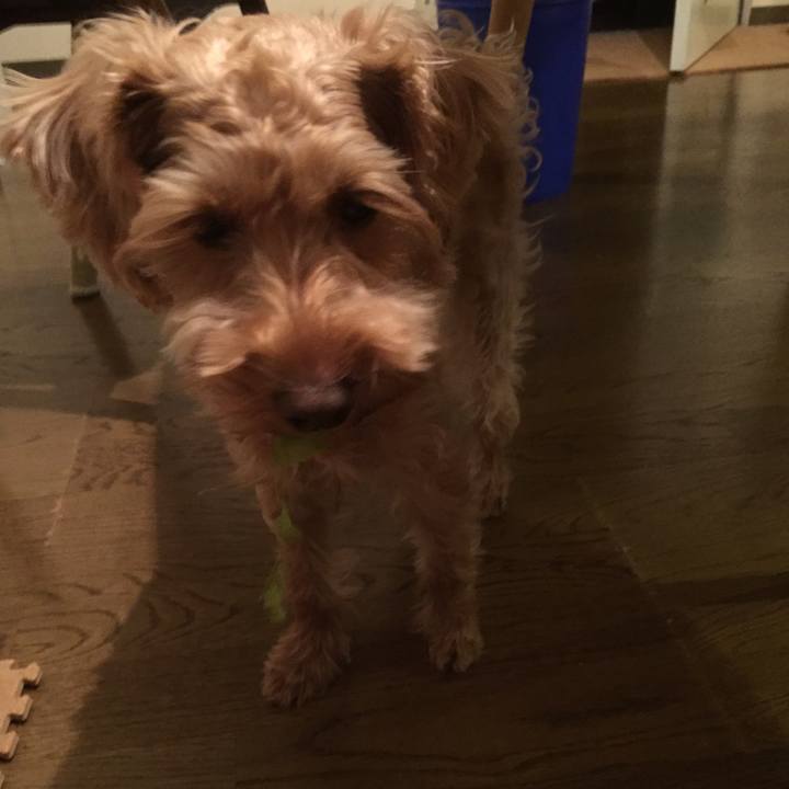 16a68ce9 294c 4493 8b85 281d0466cf4d