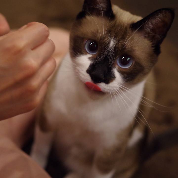 16a6928b b1a3 42c0 ae77 3d953498720d