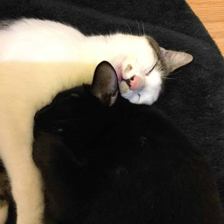 16a6f87d 1d8b 4da4 9030 6143a93c75d1