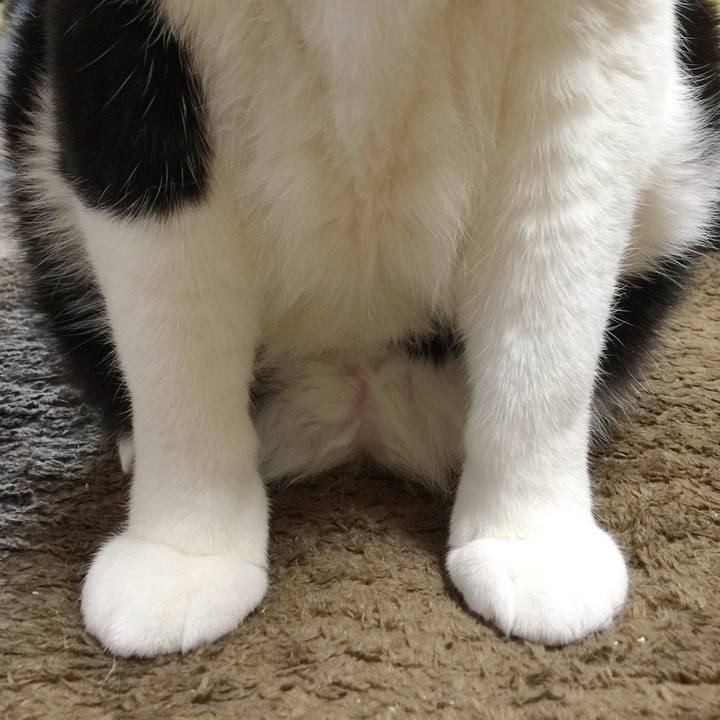 16a727d8 313a 4d35 a19c 53e433ddbdd9