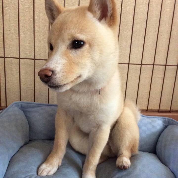 16a73499 86c3 4bcb a660 b74e4623eba7