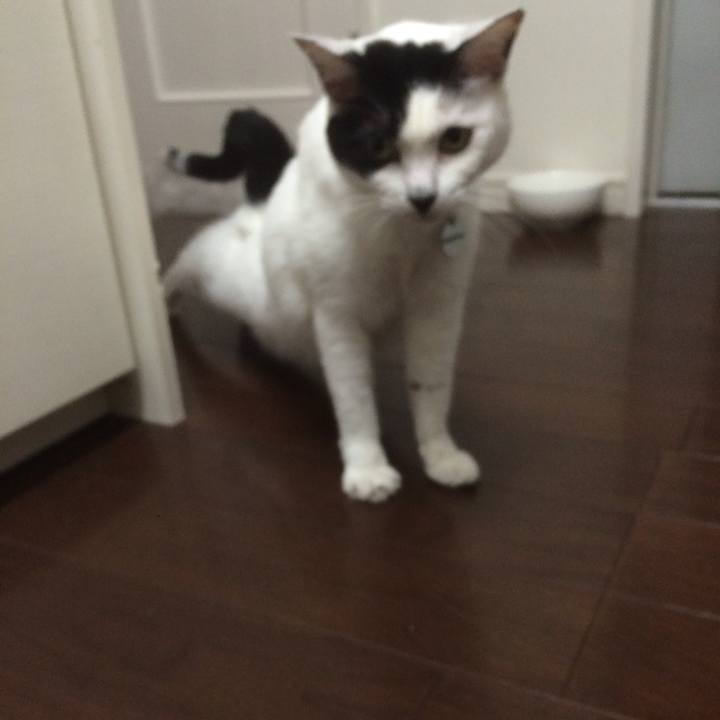 16a7e62c 9c47 4718 a145 698757998774