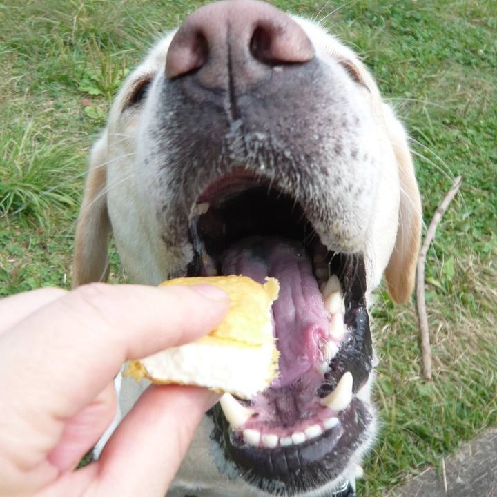 16a84872 d481 49cc 8c16 6116b860e695