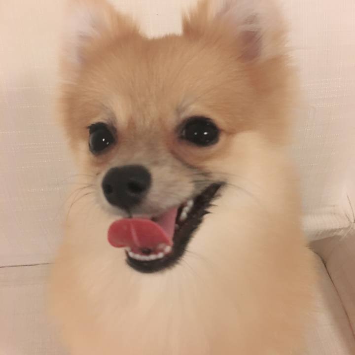 16a87199 dafd 4986 a2ba 44b26fc9f23f