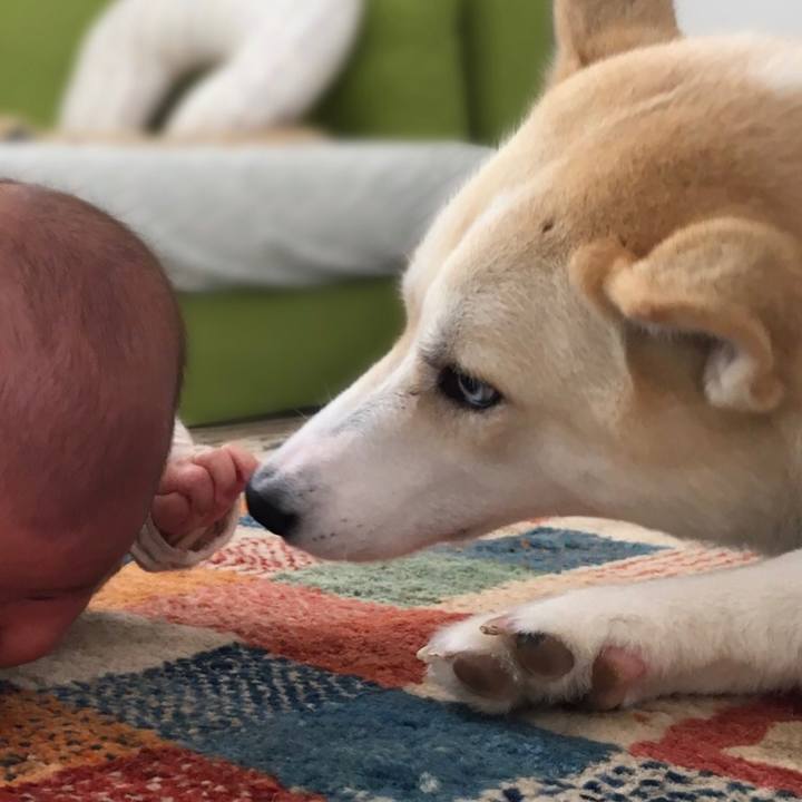 16a885a1 3796 4a7a b8a2 1191f54230b8