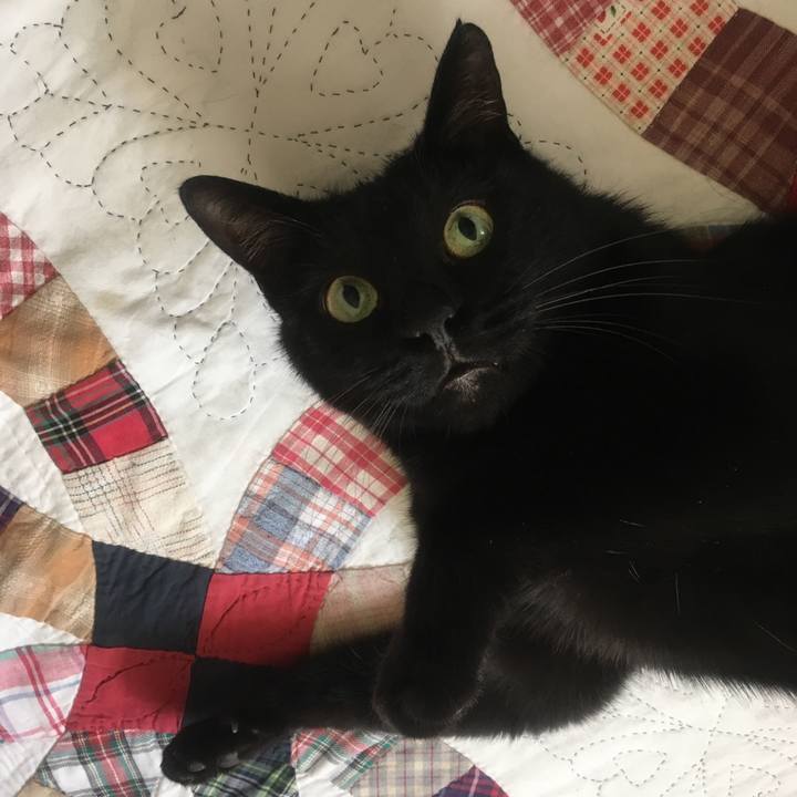 16a9875e c80b 4c6b 85e8 ed5f89176562