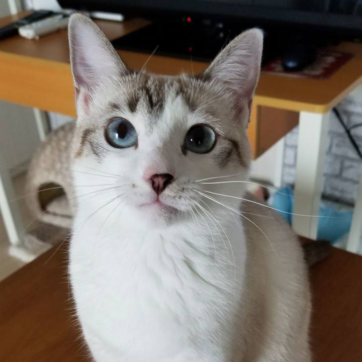 16a98c37 ff8a 4878 acb0 ac78543f1a75