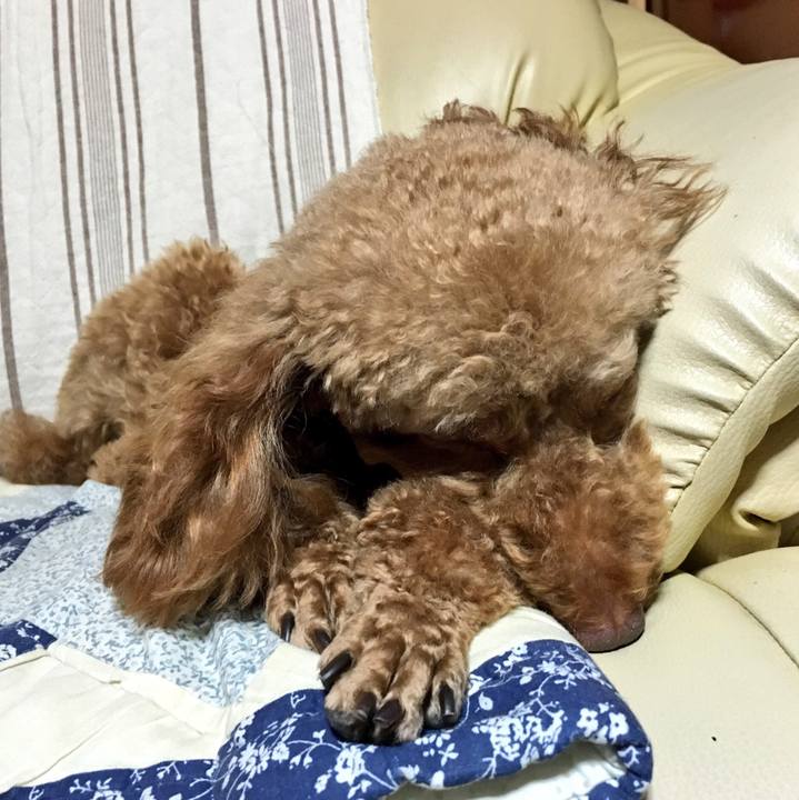 16a9bdf2 91ce 4f71 b84c 3202bce7a0e4