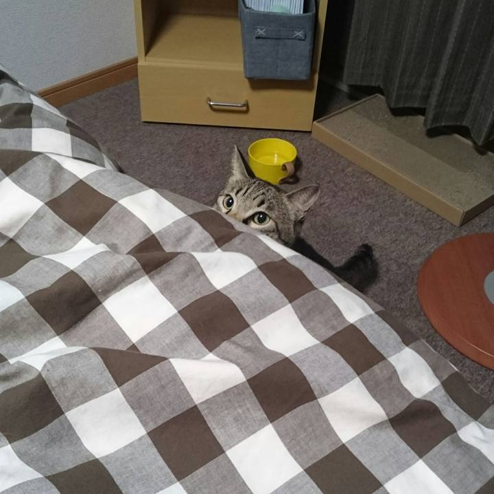 16a9dcbd 71be 4d16 bbde 5978d60bae07