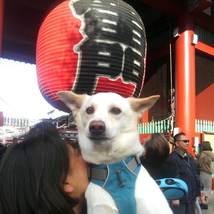 16aa5de0 d0c5 40c6 879d 56d837e0fcdd