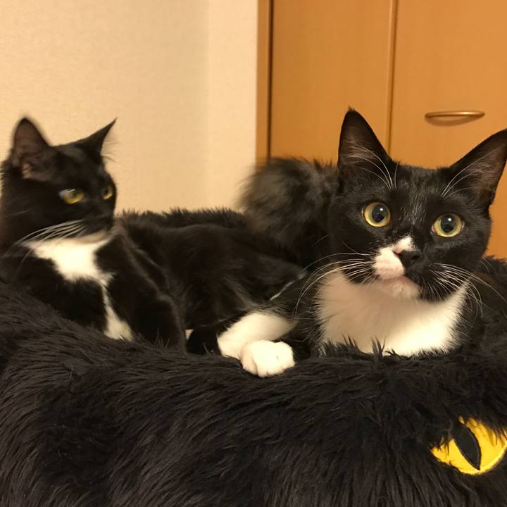 16aa91bf f075 4530 996e 1b412207e754