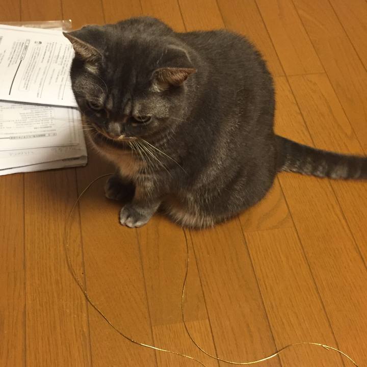 16aab618 4f88 4d67 8324 791c18f39897