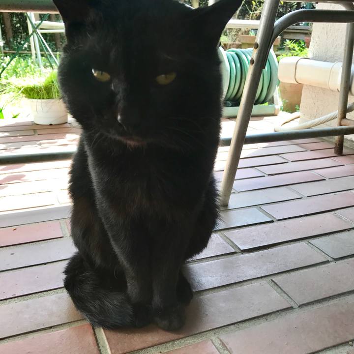 16aaccfc 2ec9 4a70 b322 ab7ca2da9a6a