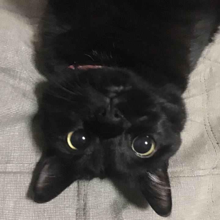 16ac616b d8b1 481b 9b37 e364dde5955e